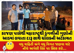 MailVadodara.com - Driver-arrested-with-liquor-being-brought-from-Maharashtra-under-the-guise-of-onion-from-Karjan