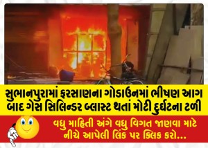 MailVadodara.com - Major-tragedy-averted-after-gas-cylinder-blast-after-massive-fire-in-Farsan-godown-in-Subhanpura