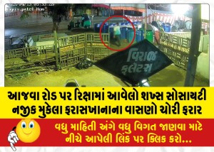 MailVadodara.com - A-man-in-a-rickshaw-on-Ajwa-Road-stole-toilet-utensils-from-a-society-and-fled