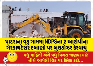 MailVadodara.com - Bulldozers-were-deployed-in-Vadu-village-of-Padra-due-to-illegal-pressure-exerted-by-2-NDPS-accused