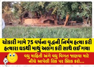 MailVadodara.com - A-75-year-old-man-was-brutally-murdered-in-Chokari-village-his-head-severed-from-the-body-and-taken-away-with-him