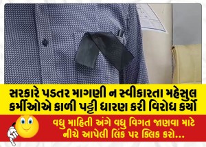 MailVadodara.com - Revenue-officials-protested-by-wearing-black-armbands-as-the-government-did-not-accept-the-pending-demands