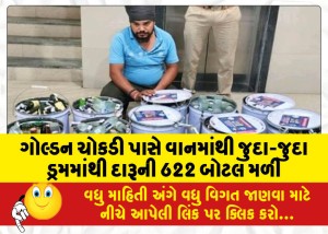 MailVadodara.com - 622-bottles-of-liquor-were-found-in-different-drums-in-a-van-near-Golden-Chokdi