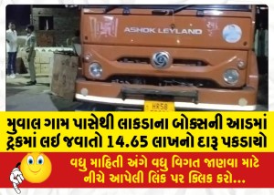MailVadodara.com - Liquor-worth-Rs-14-65-lakhs-seized-from-Muwal-village-being-transported-in-a-truck-under-the-guise-of-a-wooden-box