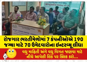 MailVadodara.com - In-the-job-fairs-7-companies-interviewed-70-candidates-for-190-positions-46-were-selected
