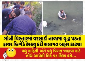 MailVadodara.com - Fire-brigade-rescues-elderly-man-who-fell-into-storm-drain-in-Gotri-area-and-pulls-him-out-safely