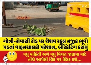 MailVadodara.com - Motorists-are-disturbed-by-landslide-near-Shaishav-School-on-Gotri-Sevasi-road-barricading-done