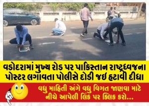 MailVadodara.com - Police-rushed-to-remove-posters-of-Pakistan-national-flag-on-main-road-in-Vadodara