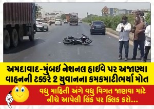 MailVadodara.com - 2-youths-die-in-horrific-accident-after-being-hit-by-unknown-vehicle-on-Ahmedabad-Mumbai-National-Highway