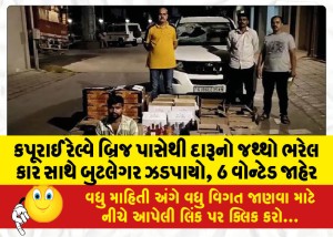 MailVadodara.com - Bootlegger-caught-with-car-loaded-with-liquor-near-Kapurai-Railway-Bridge-6-wanted
