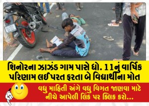 MailVadodara.com - Two-students-died-while-returning-with-their-annual-results-of-Std-11-near-Jhajhand-village-in-Shinor