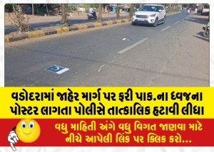 MailVadodara.com - Police-immediately-removed-posters-of-the-Pakistani-flag-on-public-roads-in-Vadodara