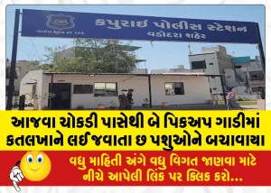 MailVadodara.com - Six-animals-being-taken-to-slaughterhouse-in-two-pickup-trucks-from-Ajwa-Chowkdi-were-rescued