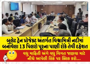 MailVadodara.com - Fears-that-13-pillars-built-in-Vishwamitri-river-under-bullet-train-project-may-block-flood-waters