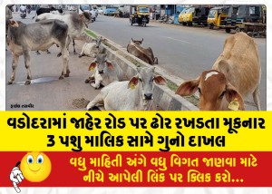 Case-registered-against-3-cattle-owners-for-letting-cattle-stray-on-public-roads-in-Vadodara