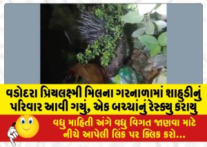 વડોદરા પ્રિયલક્ષ્મી મિલના ગરનાળામાં શાહુડીનું પરિવાર આવી ગયું, એક બચ્ચાંનું રેસ્ક્યુ કરાયું