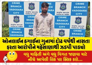 ઓનલાઈન ઠગાઈના ગુનામાં દોઢ વર્ષથી નાસતા ફરતા આરોપીને મહેસાણાથી ઝડપી પાડ્યો