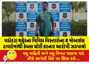 Accused-arrested-for-stealing-cables-from-8-mobile-towers-in-different-areas-of-Vadodara