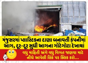 મંજુસરમાં પ્લાસ્ટિકના દાણા બનાવતી કંપનીમાં આગ, દૂર-દૂર સુધી આગના ગોટેગોટા દેખાયાં