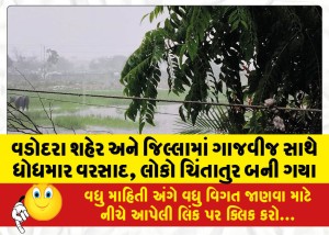 હવામાન વિભાગ દ્વારા વડોદરા સહિત ત્રણ જિલ્લામાં આજે ભારેથી અતિભારે વરસાદની આગાહી