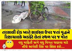 તરસાલી રોડ ખાતે સાઇકલ ઉપર જતાં વૃદ્ધને રિક્ષાચાલકે અડફેટે લેતાં સ્થળ પર જ મોત