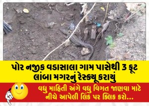પોર નજીક વડાસાલા ગામ પાસેથી 3 ફૂટ લાંબા મગરનું રેસ્ક્યૂ કરાયું