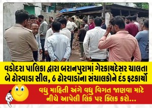 વડોદરા પાલિકા દ્વારા બરાનપુરામાં ગેરકાયદેસર ચાલતા બે ઢોરવાડા સીલ, 6 ઢોરવાડાના સંચાલકોને દંડ ફટકાર્યો