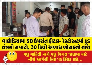 વાઘોડિયામાં 20 ઉપરાંત હોટલ- રેસ્ટોરન્ટમાં ફૂડ તંત્રનો સપાટો, 30 કિલો અખાદ્ય ખોરાકનો નાશ