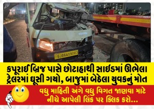 કપૂરાઈ બ્રિજ પાસે છોટાહાથી સાઇડમાં ઊભેલા ટ્રેલરમાં ઘૂસી ગયો, બાજુમાં બેઠેલા યુવકનું મોત