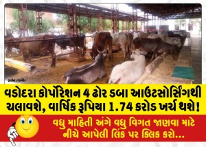 વડોદરા કોર્પોરેશન 4 ઢોર ડબા આઉટસોર્સિંગથી ચલાવશે, વાર્ષિક રૂપિયા 1.74 કરોડ ખર્ચ થશે!