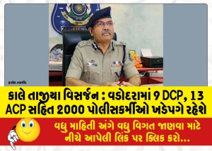 કાલે તાજીયા વિસર્જન : વડોદરામાં 9 DCP, 13 ACP સહિત 2000 પોલીસકર્મીઓ ખડેપગે રહેશે