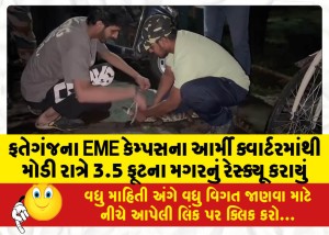ફતેગંજના EME કેમ્પસના આર્મી ક્વાર્ટરમાંથી મોડી રાત્રે 3.5 ફૂટના મગરનું રેસ્ક્યૂ કરાયું
