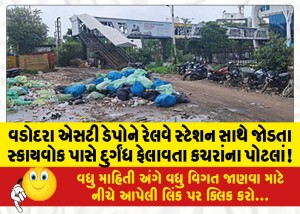 વડોદરા એસટી ડેપોને રેલવે સ્ટેશન સાથે જોડતા સ્કાયવોક પાસે દુર્ગંધ ફેલાવતા કચરાંના પોટલાં!