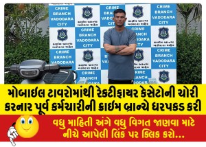 મોબાઇલ ટાવરોમાંથી રેક્ટીફાયર કેસેટોની ચોરી કરનાર પૂર્વ કર્મચારીની ક્રાઇમ બ્રાન્ચે ધરપકડ કરી