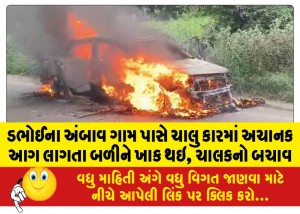 ડભોઈના અંબાવ ગામ પાસે ચાલુ કારમાં અચાનક આગ લાગતા બળીને ખાક થઇ, ચાલકનો બચાવ