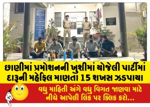 છાણીમાં પ્રમોશનની ખુશીમાં યોજેલી પાર્ટીમાં દારૂની મહેફિલ માણતા 15 શખસ ઝડપાયા