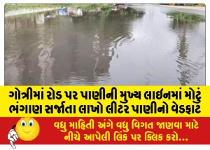 ગોત્રીમાં રોડ પર પાણીની મુખ્ય લાઇનમાં મોટું ભંગાણ સર્જાતા લાખો લીટર પાણીનો વેડફાટ