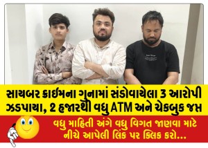 સાયબર ક્રાઇમના ગુનામાં સંડોવાયેલા 3 આરોપી ઝડપાયા, 2 હજારથી વધુ ATM અને ચેકબુક જપ્ત