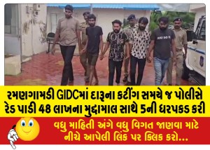 રમણગામડી GIDCમાં દારૂના કટીંગ સમયે જ પોલીસે રેડ પાડી 48 લાખના મુદ્દામાલ સાથે 5ની ધરપકડ કરી