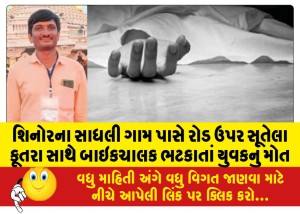 શિનોરના સાધલી ગામ પાસે રોડ ઉપર સૂતેલા કૂતરા સાથે બાઇકચાલક ભટકાતાં યુવકનું મોત