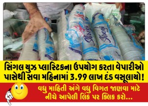 સિંગલ યુઝ પ્લાસ્ટિકના ઉપયોગ કરતા વેપારીઓ પાસેથી સવા મહિનામાં 3.99 લાખ દંડ વસૂલાયો!