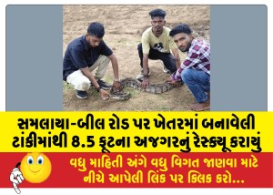 સમલાયા-બીલ રોડ પર ખેતરમાં બનાવેલી ટાંકીમાંથી 8.5 ફૂટના અજગરનું રેસ્ક્યૂ કરાયું