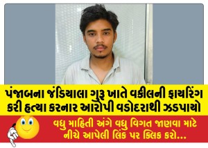 પંજાબના જંડિયાલા ગુરૂ ખાતે વકીલની ફાયરિંગ કરી હત્યા કરનાર આરોપી વડોદરાથી ઝડપાયો