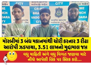 મોરબીમાં 3 બંધ મકાનમાંથી ચોરી કરનાર 3 રીઢા આરોપી ઝડપાયા, 3.51 લાખનો મુદ્દામાલ જપ્ત