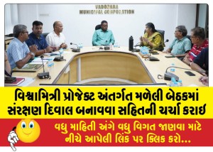 વિશ્વામિત્રી પ્રોજેક્ટ અંતર્ગત મળેલી બેઠકમાં સંરક્ષણ દિવાલ બનાવવા સહિતની ચર્ચા કરાઇ