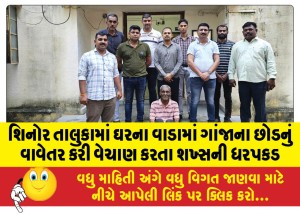 શિનોર તાલુકામાં ઘરના વાડામાં ગાંજાના છોડનું વાવેતર કરી વેચાણ કરતા શખ્સની ધરપકડ