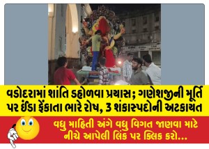 વડોદરામાં શાંતિ ડહોળવા પ્રયાસ; ગણેશજીની મૂર્તિ પર ઈંડા ફેંકાતા ભારે રોષ, 3 શંકાસ્પદોની અટકાયત