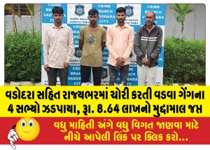 વડોદરા સહિત રાજ્યભરમાં ચોરી કરતી વડવા ગેંગના 4 સભ્યો ઝડપાયા, રૂા. 8.64 લાખનો મુદ્દામાલ જપ્ત
