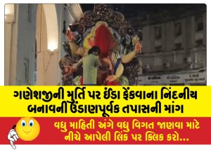 ગણેશજીની મુર્તિ પર ઈંડા ફેંકવાના નિંદનીય બનાવની ઉંડાણપૂર્વક તપાસની માંગ