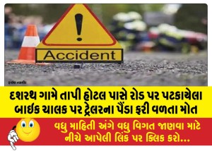 દશરથ ગામે તાપી હોટલ પાસે રોડ પર પટકાયેલા બાઇક ચાલક પર ટ્રેલરના પૈંડા ફરી વળતા મોત